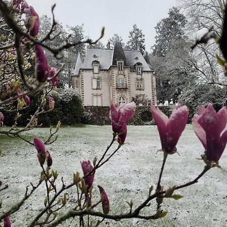 Bed and Breakfast Chateau Maleplane Saint-Léonard-de-Noblat Exteriér fotografie