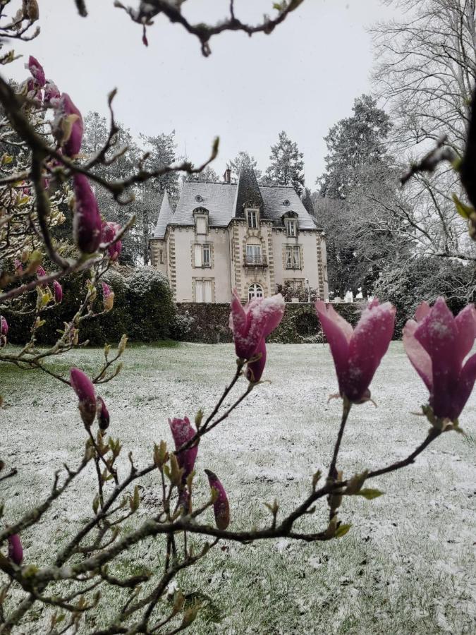 Bed and Breakfast Chateau Maleplane Saint-Léonard-de-Noblat Exteriér fotografie