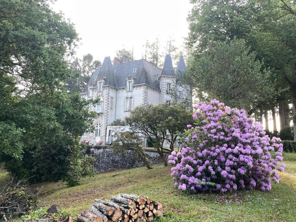 Bed and Breakfast Chateau Maleplane Saint-Léonard-de-Noblat Exteriér fotografie