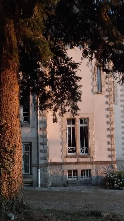 Bed and Breakfast Chateau Maleplane Saint-Léonard-de-Noblat Exteriér fotografie